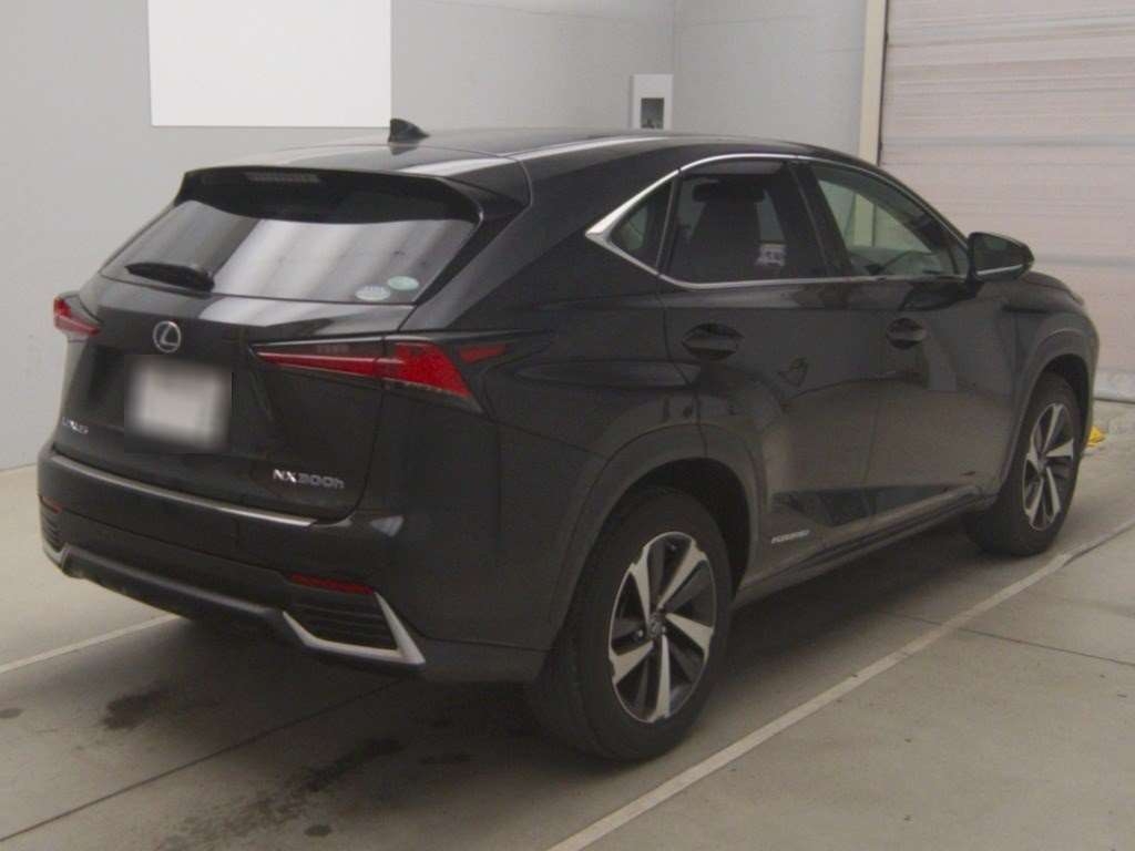 LEXUS NX300