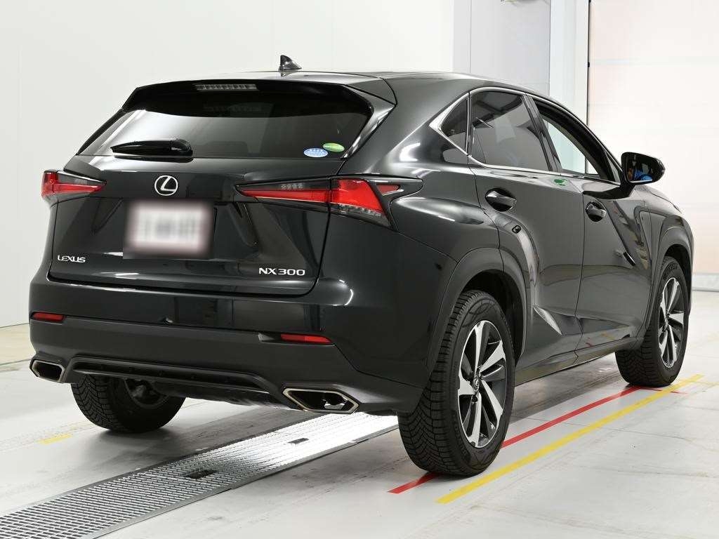 LEXUS NX300
