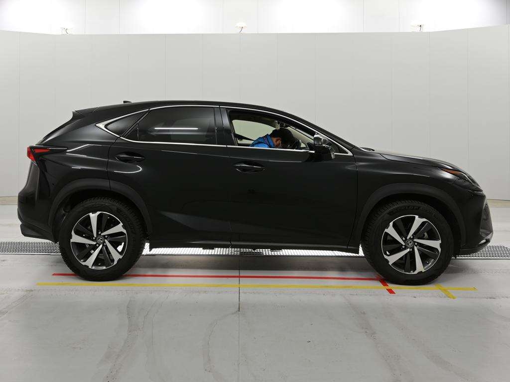 LEXUS NX300