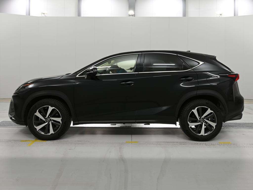 LEXUS NX300