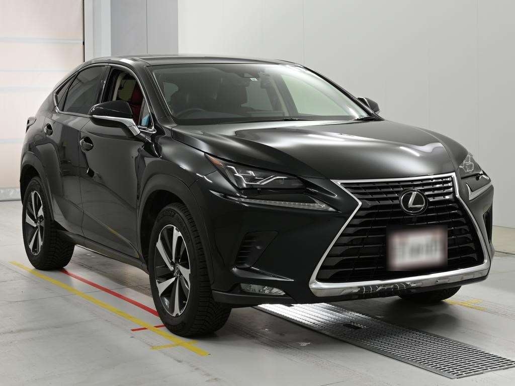 LEXUS NX300