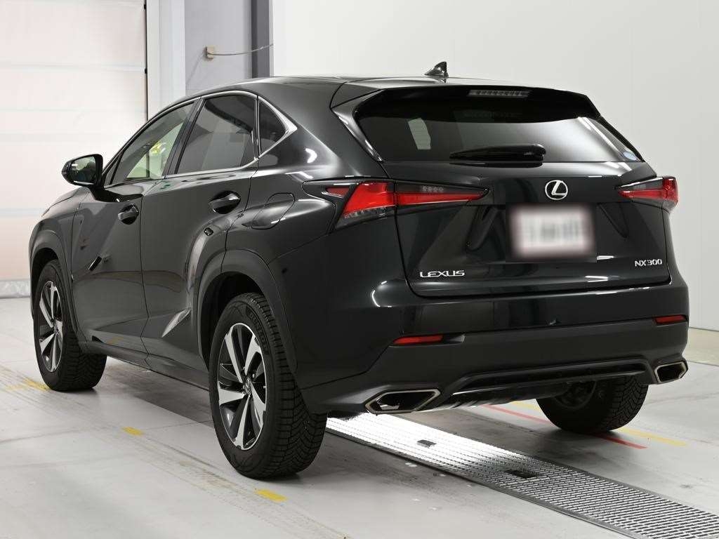 LEXUS NX300