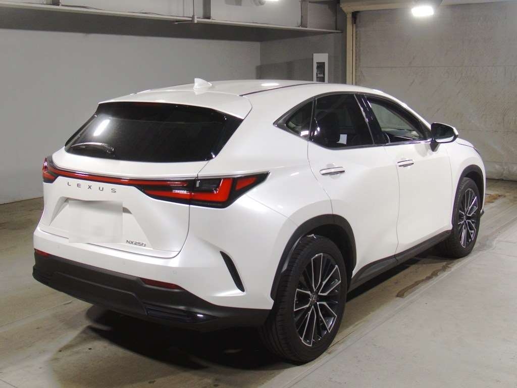 LEXUS NX250
