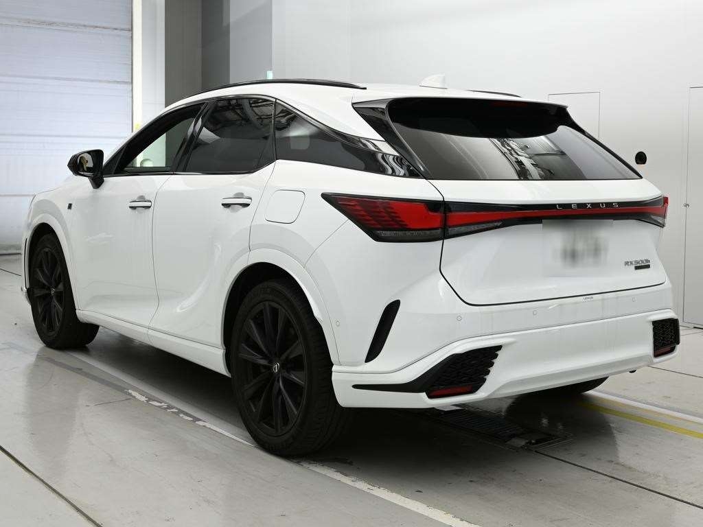 LEXUS RX500H
