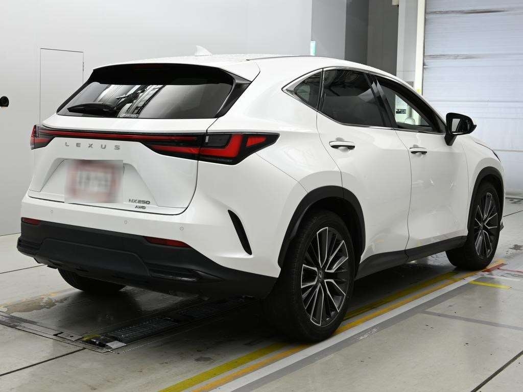 LEXUS NX250
