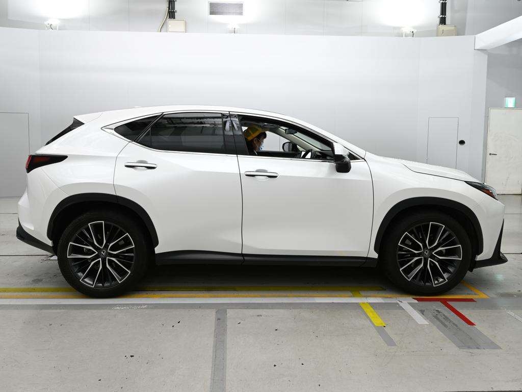 LEXUS NX250