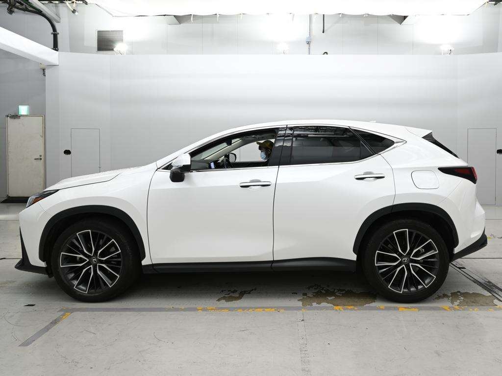 LEXUS NX250