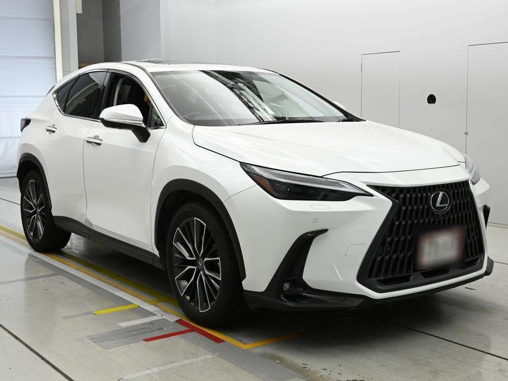 LEXUS NX250