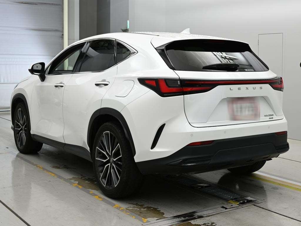 LEXUS NX250