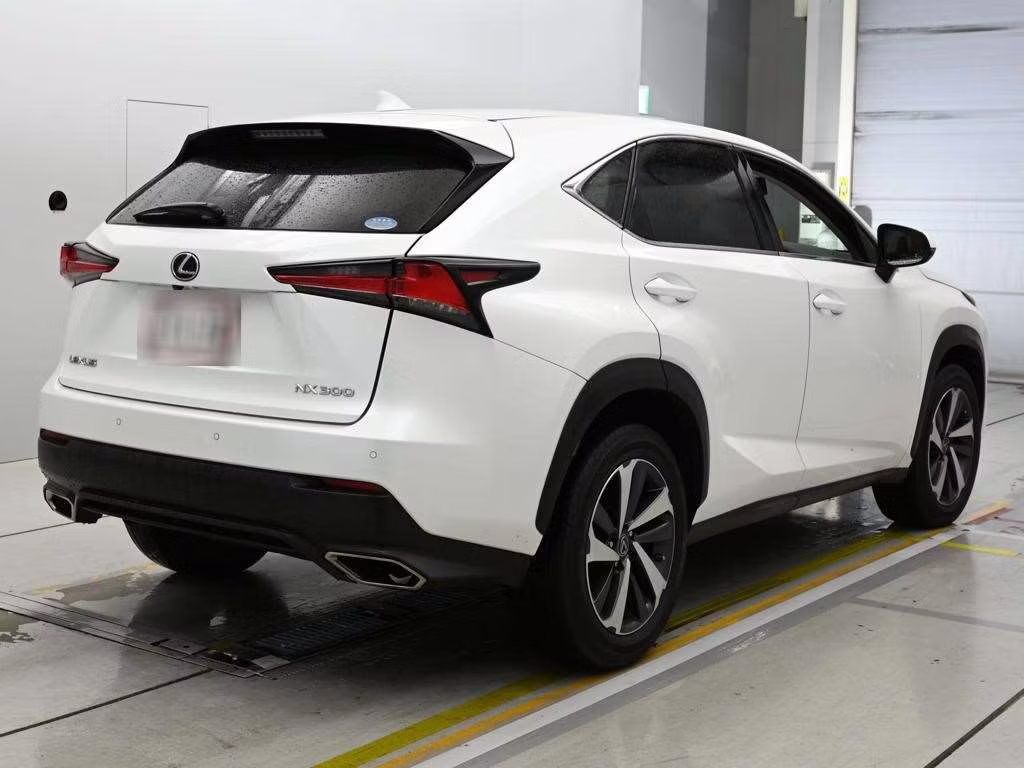 LEXUS NX300