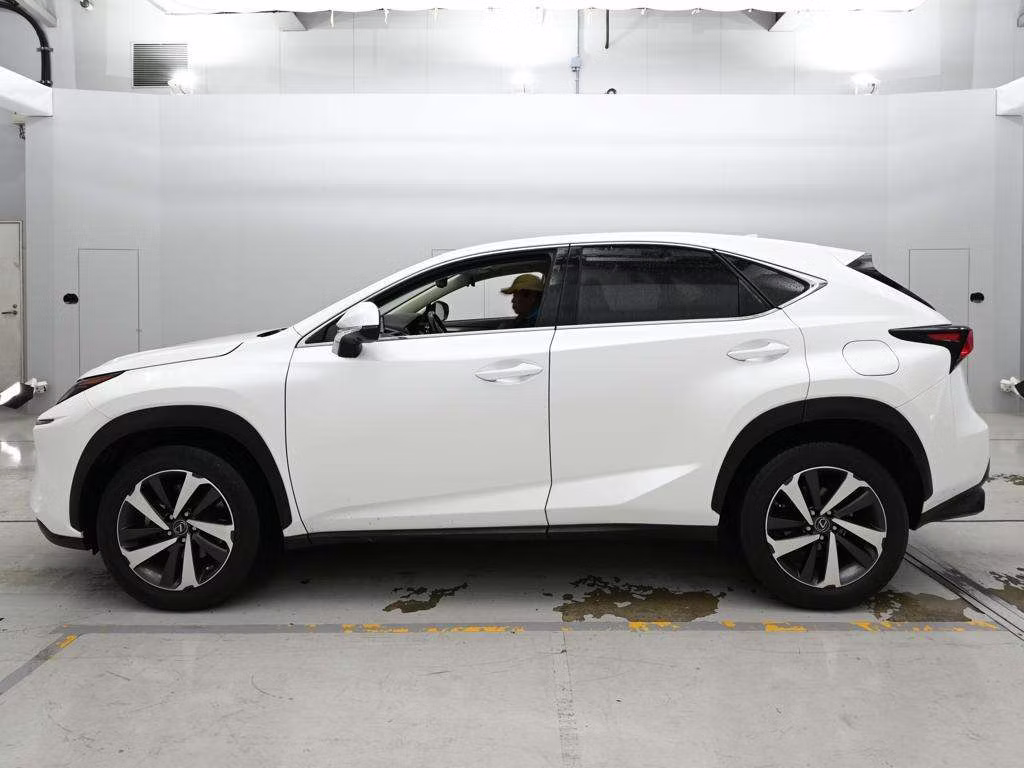 LEXUS NX300