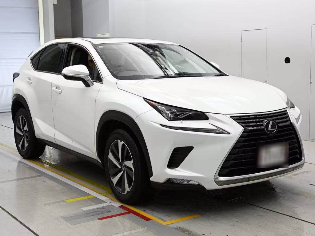 LEXUS NX300
