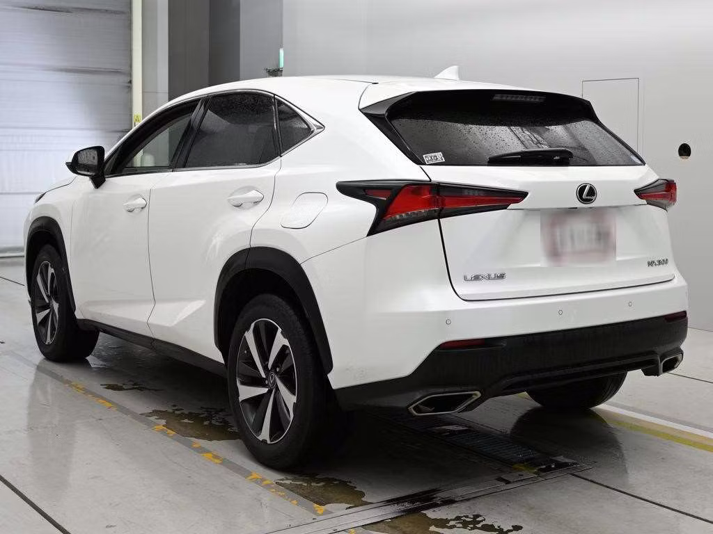 LEXUS NX300