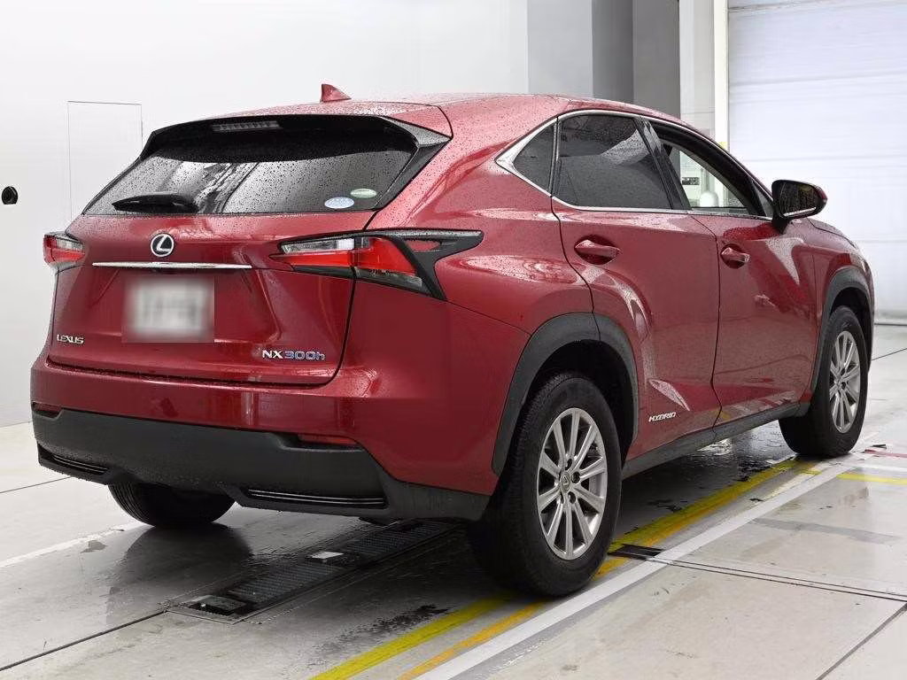 LEXUS NX300H