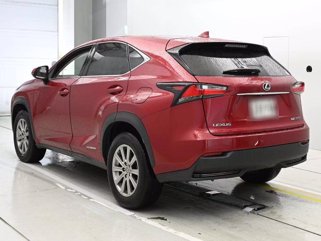 LEXUS NX300H