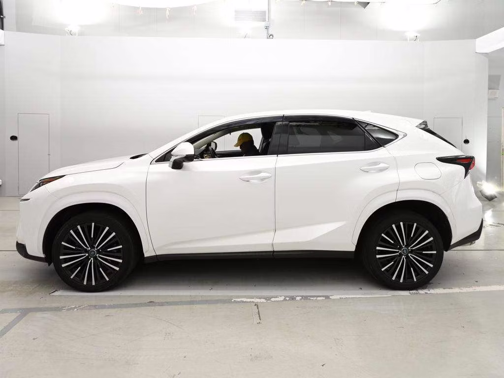 LEXUS NX200T