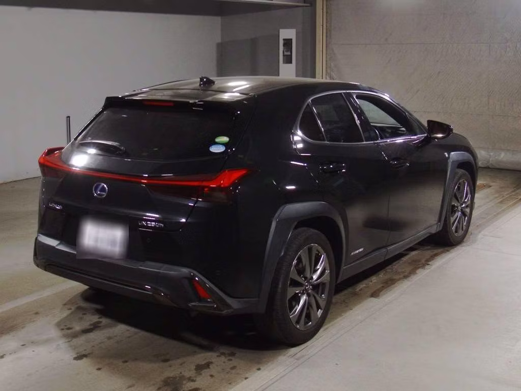 LEXUS UX250H