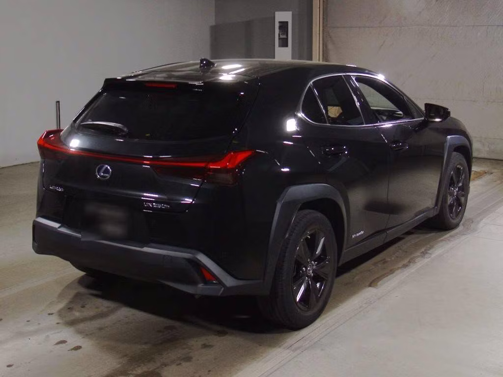 LEXUS UX250H