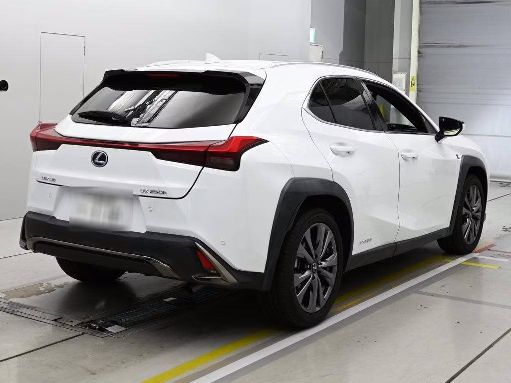 LEXUS UX250H