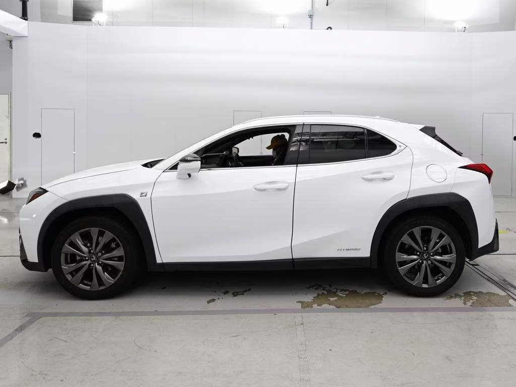 LEXUS UX250H