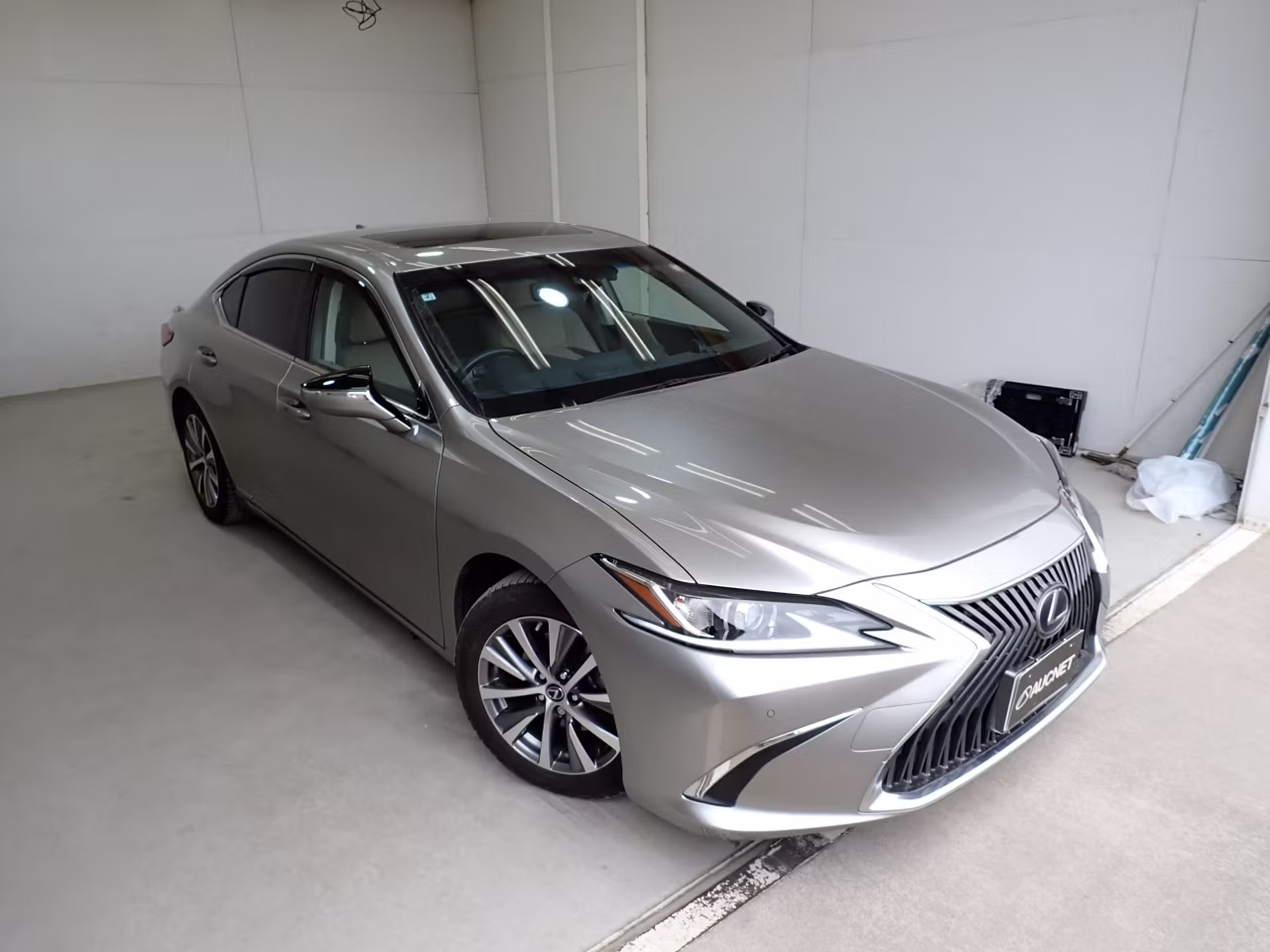 LEXUS ES300H