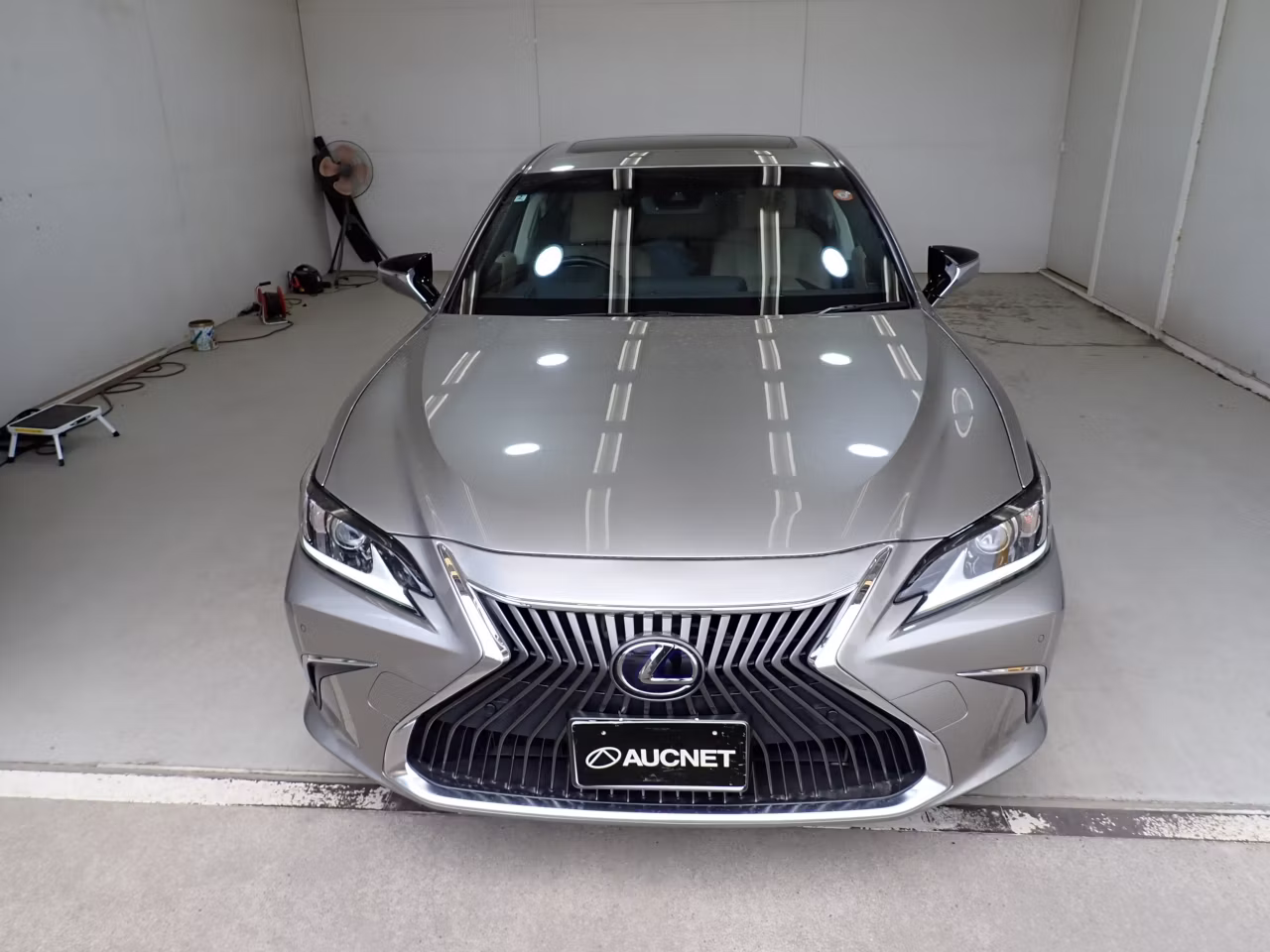 LEXUS ES300H