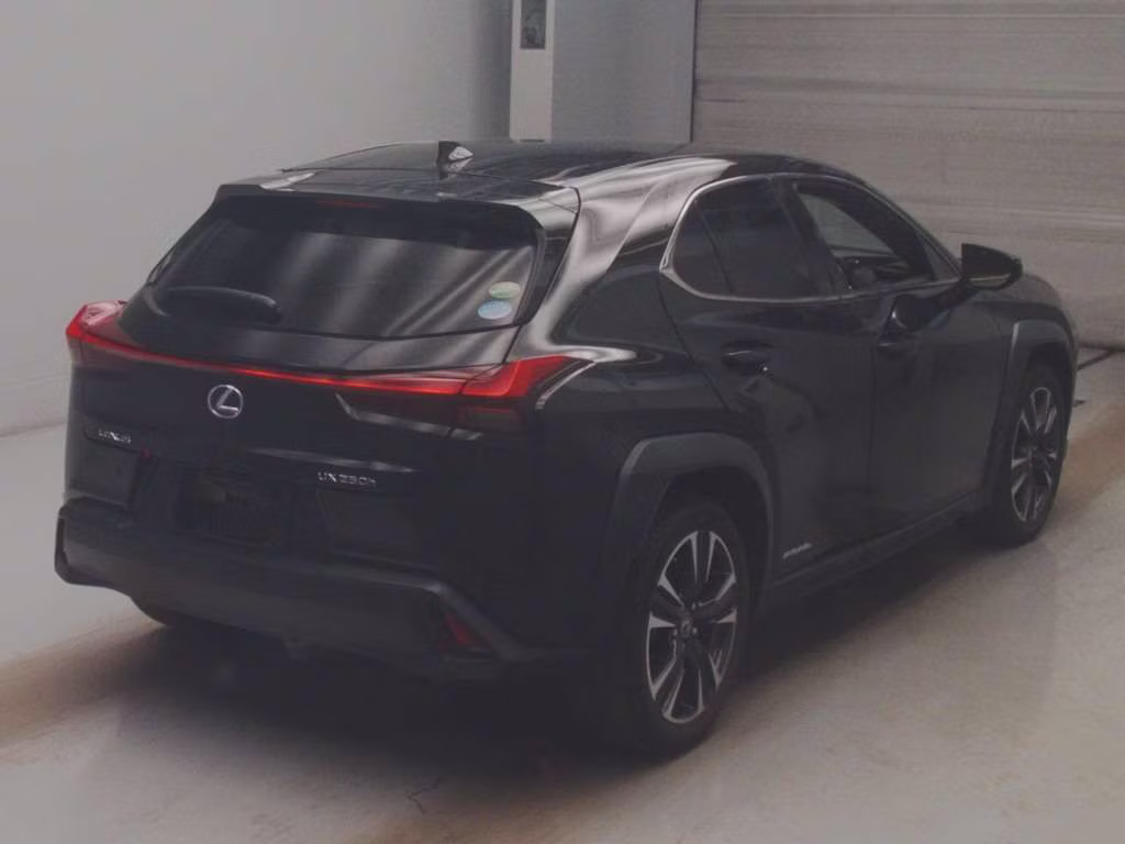 LEXUS UX250H