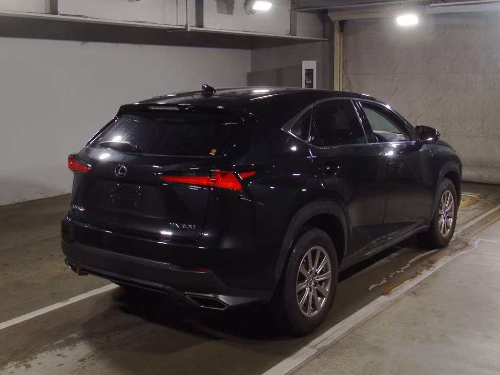LEXUS NX300