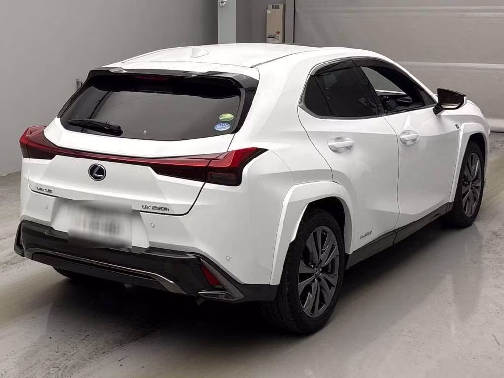LEXUS UX250H