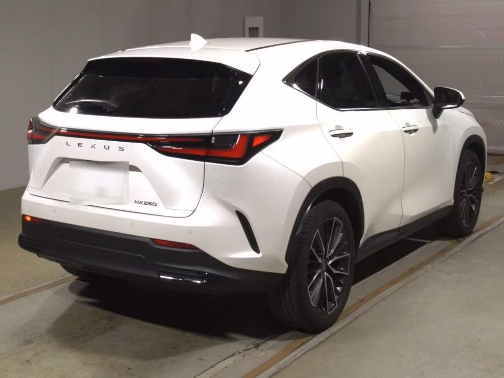 LEXUS NX250