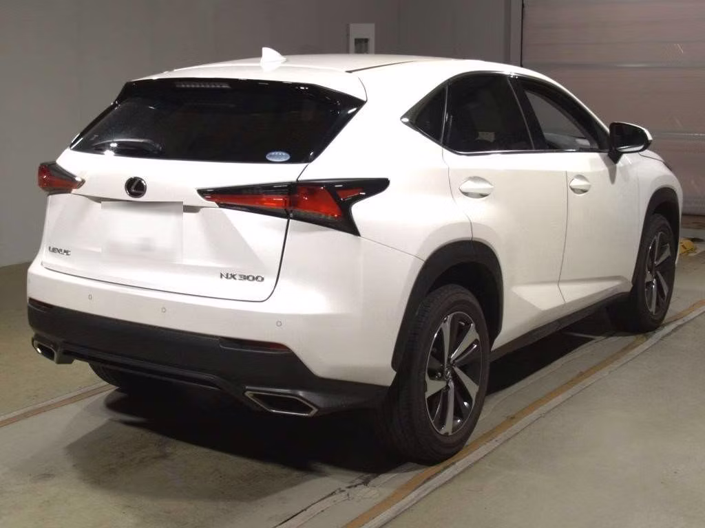 LEXUS NX300
