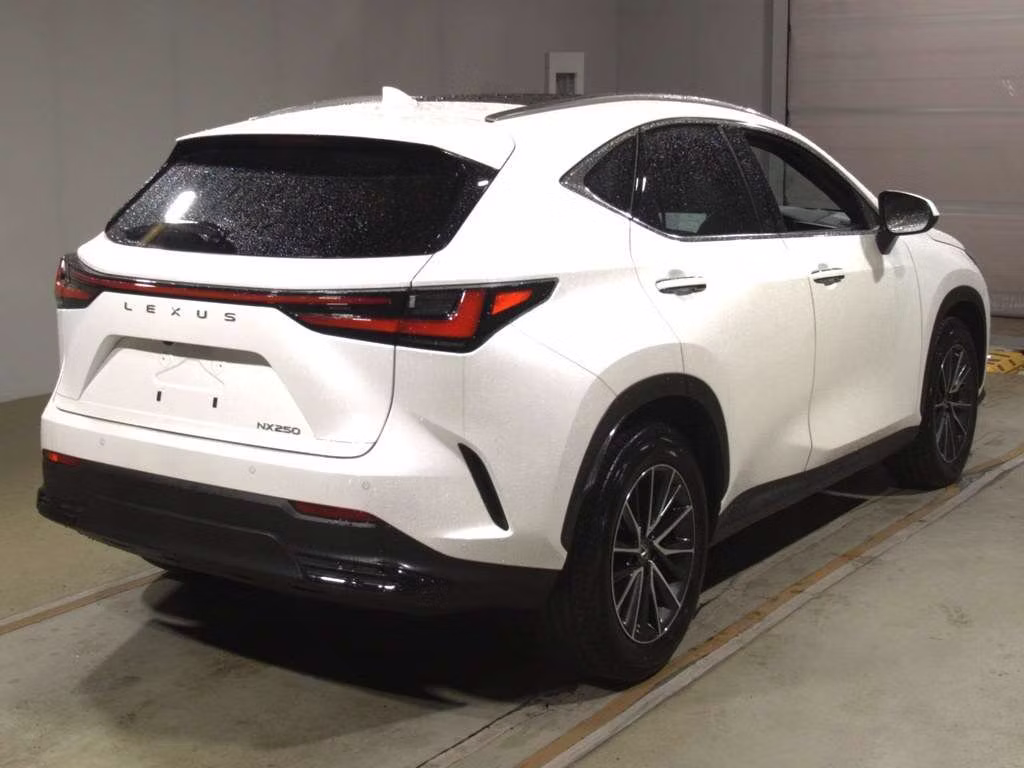 LEXUS NX250