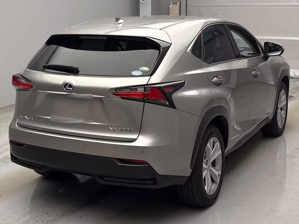 LEXUS NX300