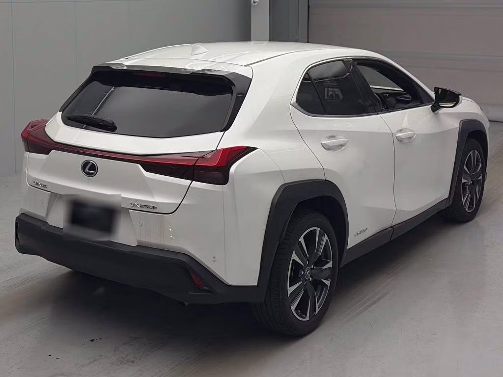LEXUS UX250H
