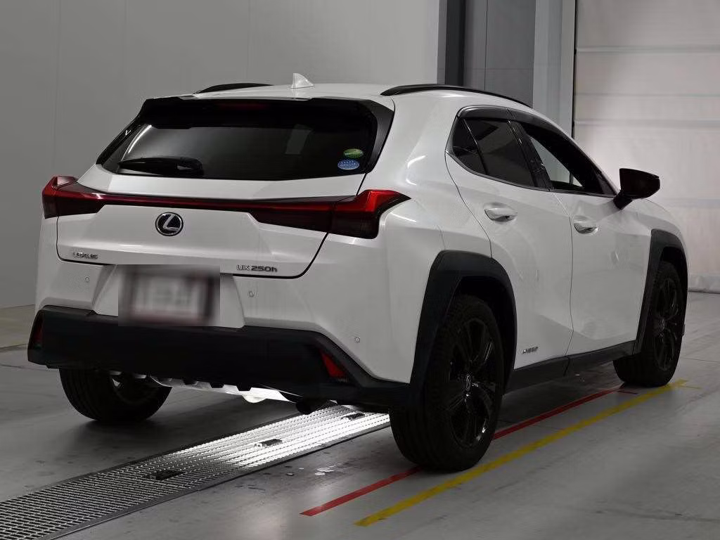 LEXUS UX250H