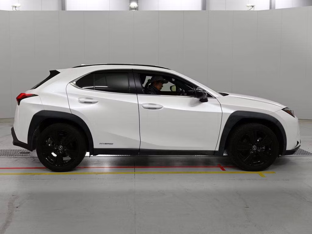 LEXUS UX250H