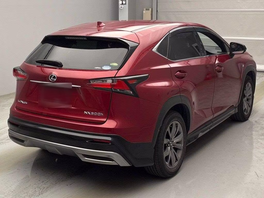 LEXUS NX300