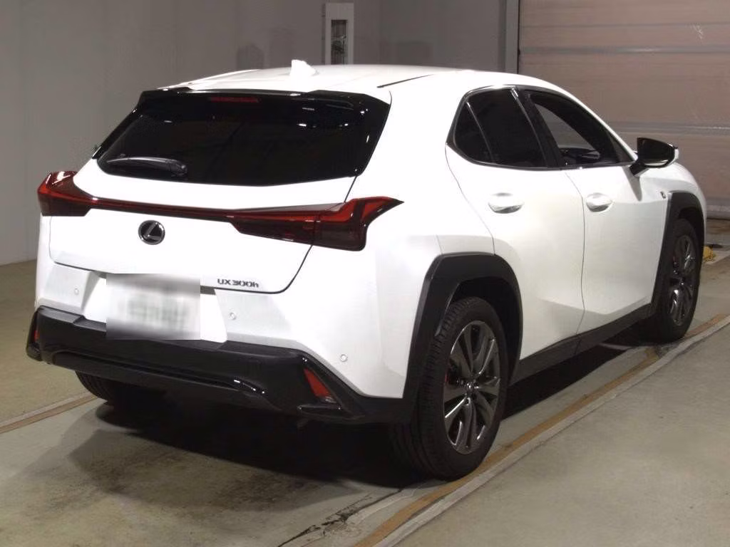 LEXUS UX300H