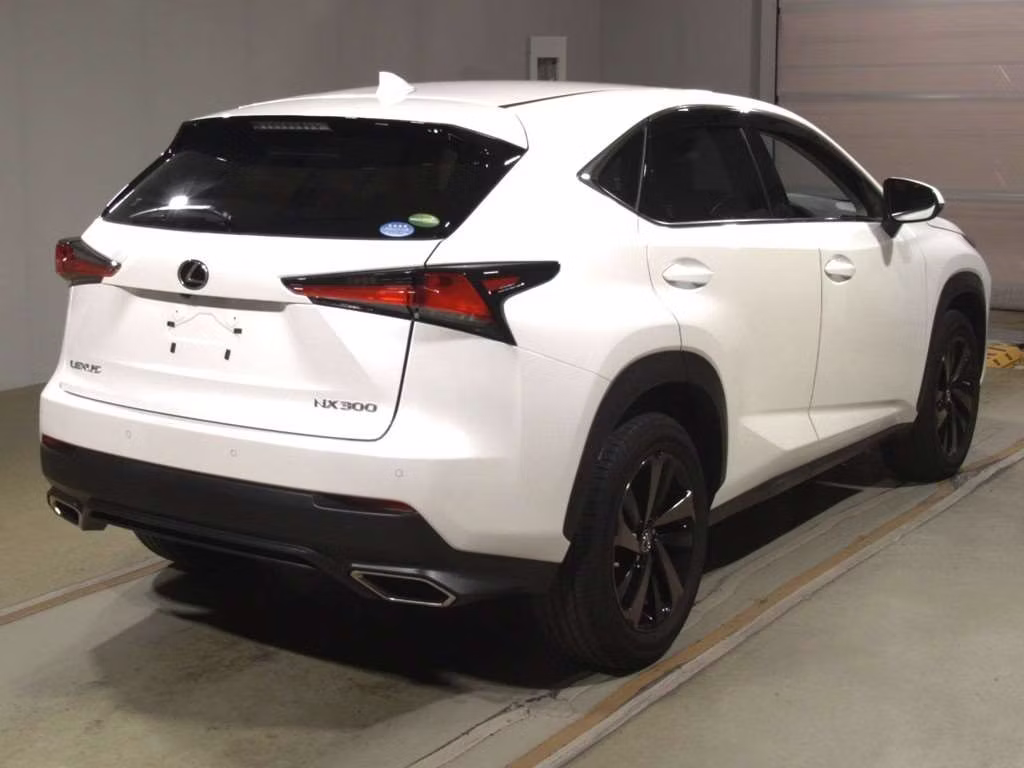 LEXUS NX300