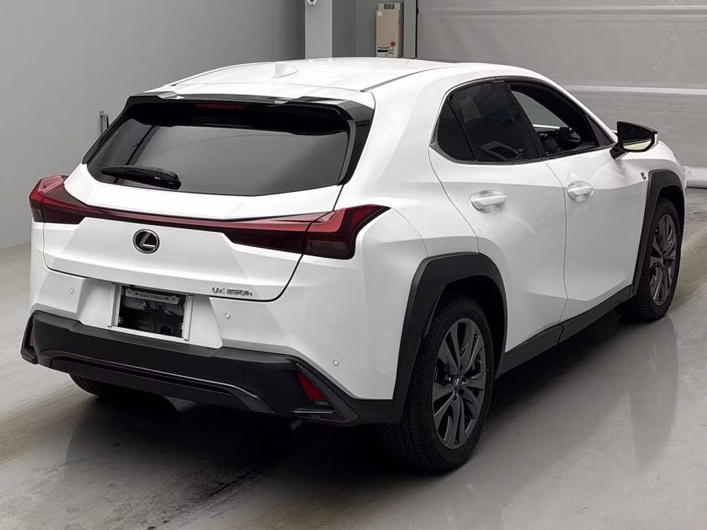 LEXUS UX250H