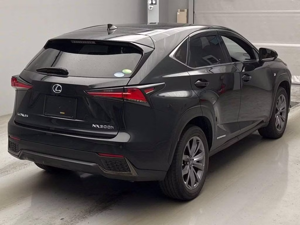 LEXUS NX300H