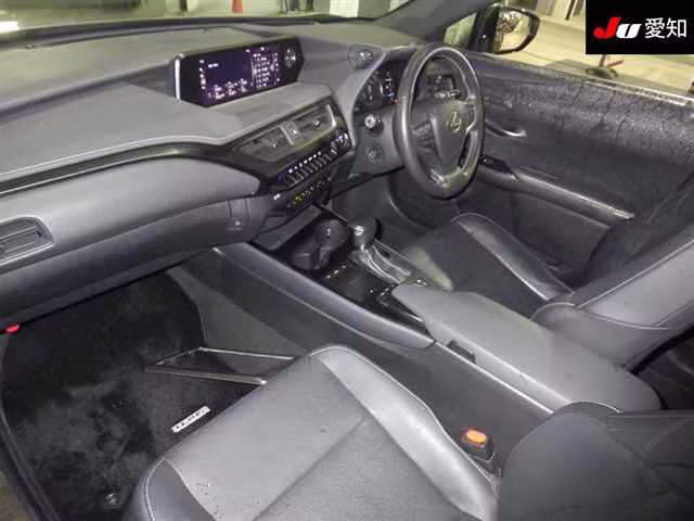LEXUS UX250H