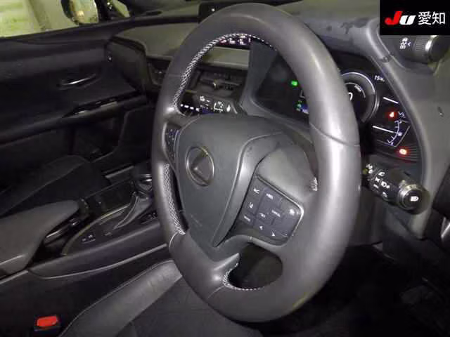 LEXUS UX250H