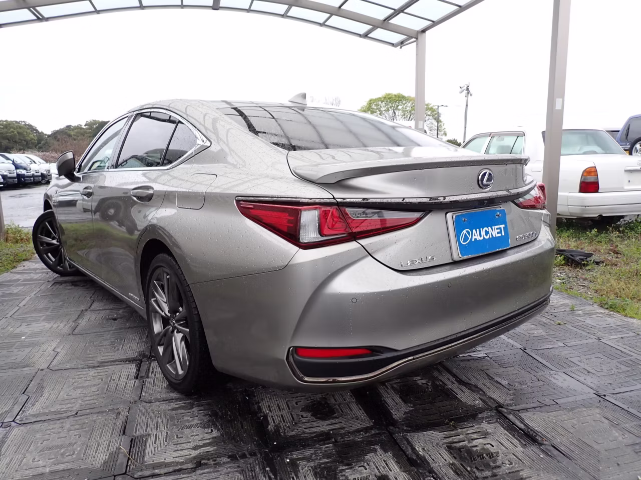 LEXUS ES300H