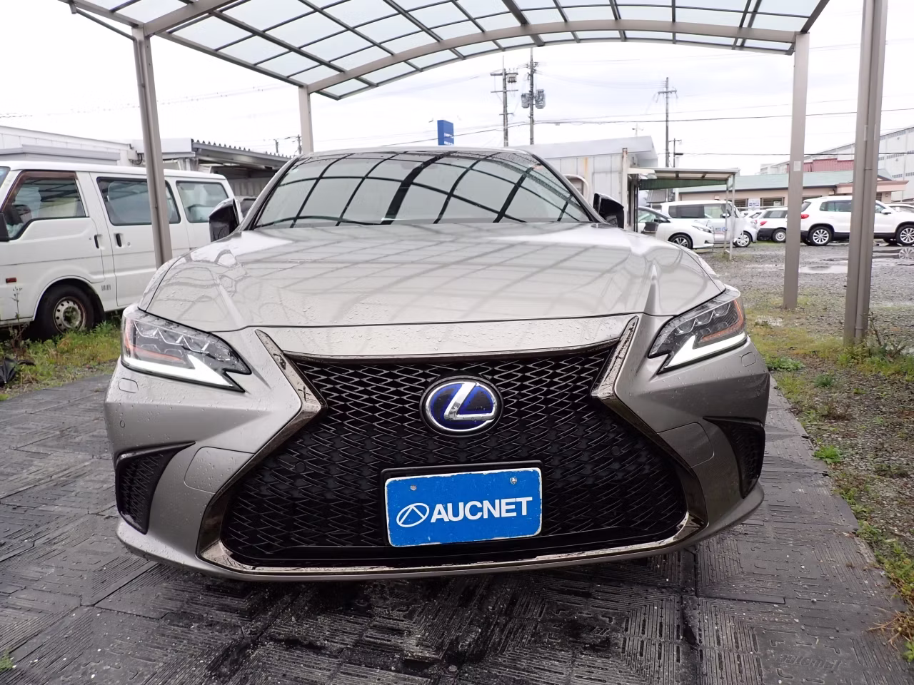 LEXUS ES300H
