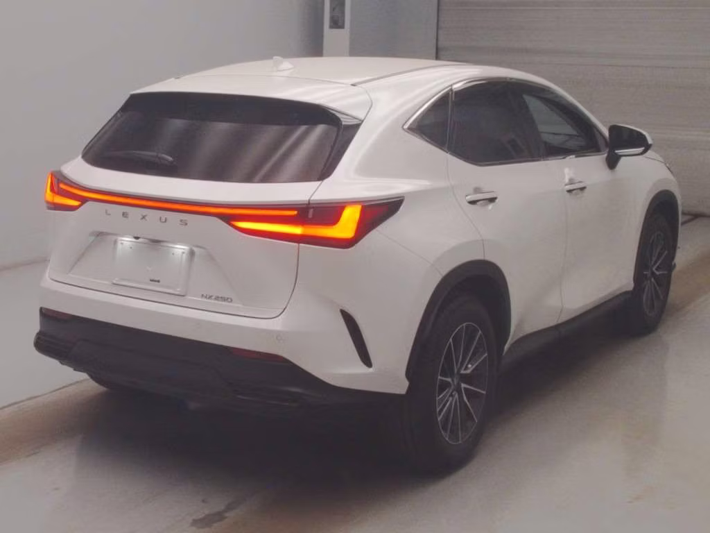 LEXUS NX250