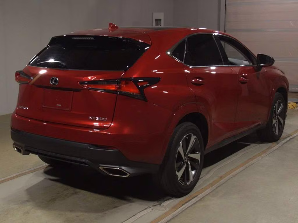 LEXUS NX300