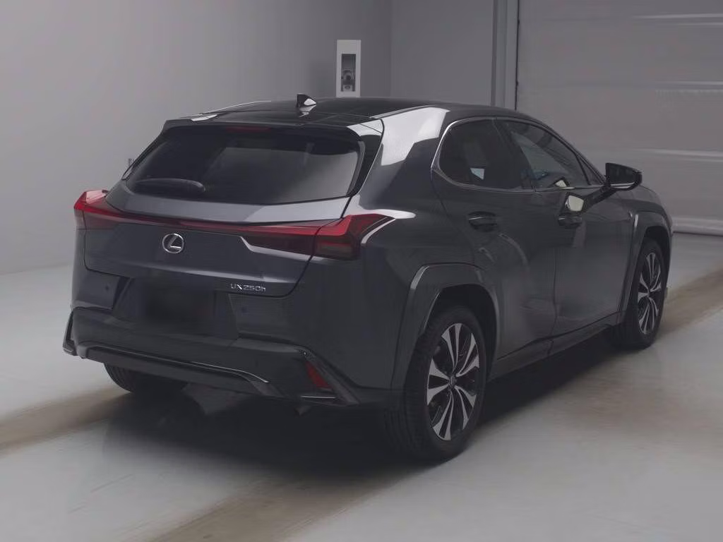 LEXUS UX250H