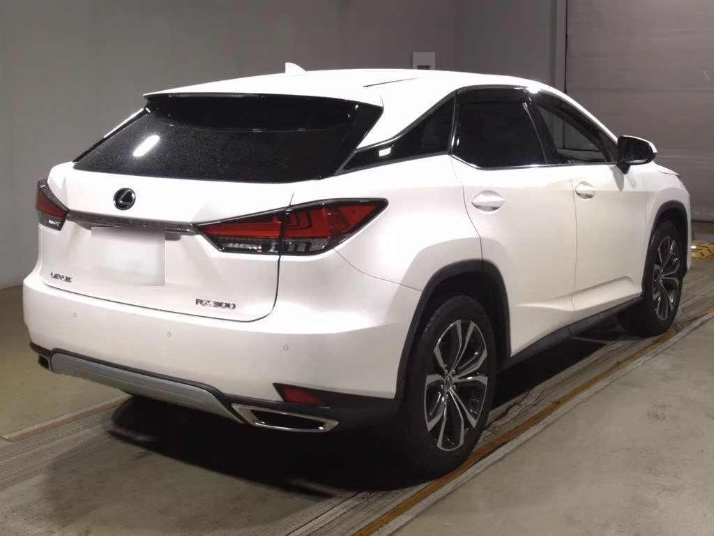 LEXUS RX300