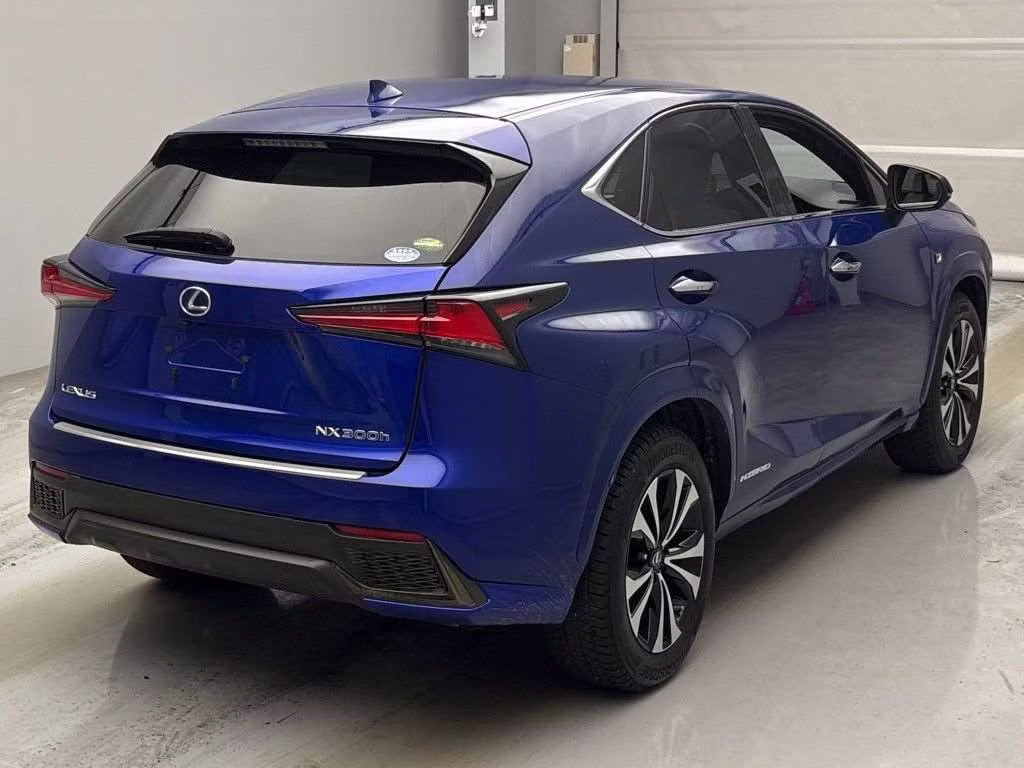 LEXUS NX300